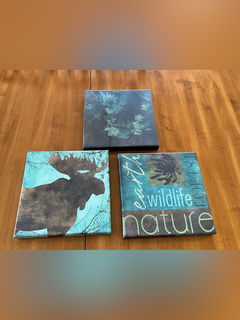 Teal Nature Wall Art Canvas Trio